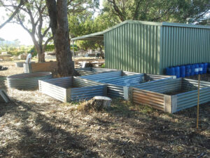 Empty garden beds next to a shed