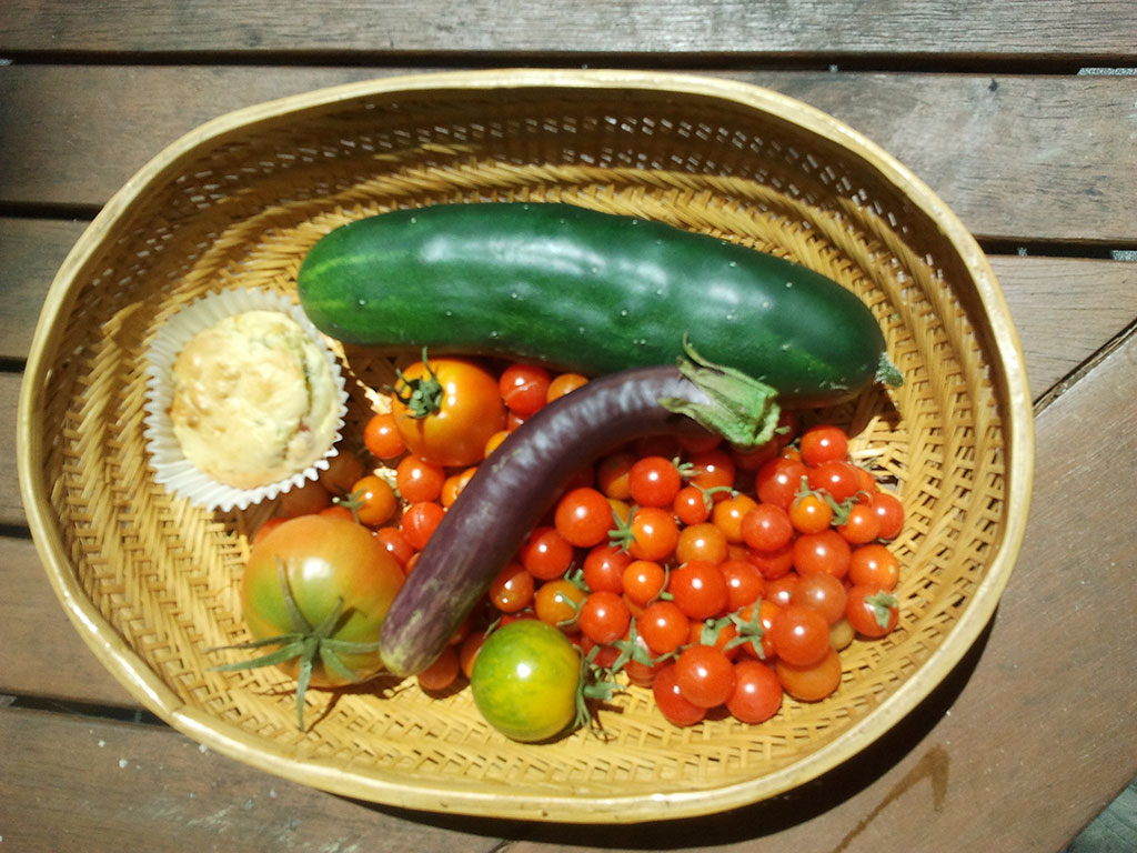 A basket of freshly picked vegetables from the garden