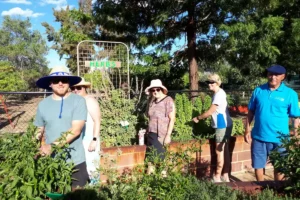 A group of people smiling in front of garden herbs