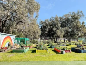 A view of a community garden