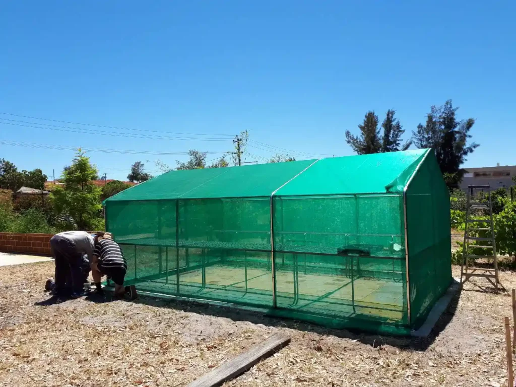 Two people building a greenhouse