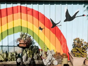 A shed with a rainbow mural