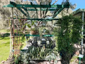 An area for sitting surrounded by plants